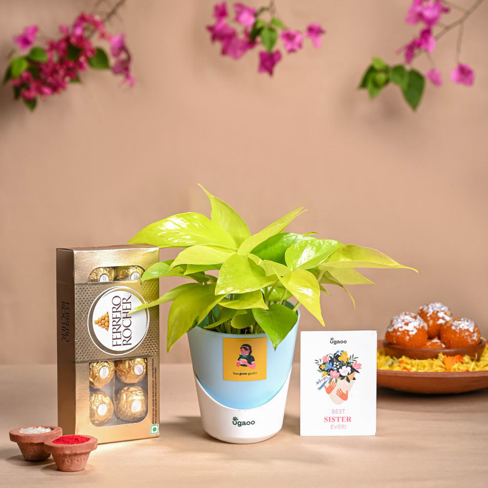Oriole Gifts Rakhi Gift Hamper For Brother With 1 Rakhi&Chocolates|Premium Raksha  Bandhan Gift Box For Brother|Rakhi With Chocolate Gift Pack : Amazon.in:  Grocery & Gourmet Foods