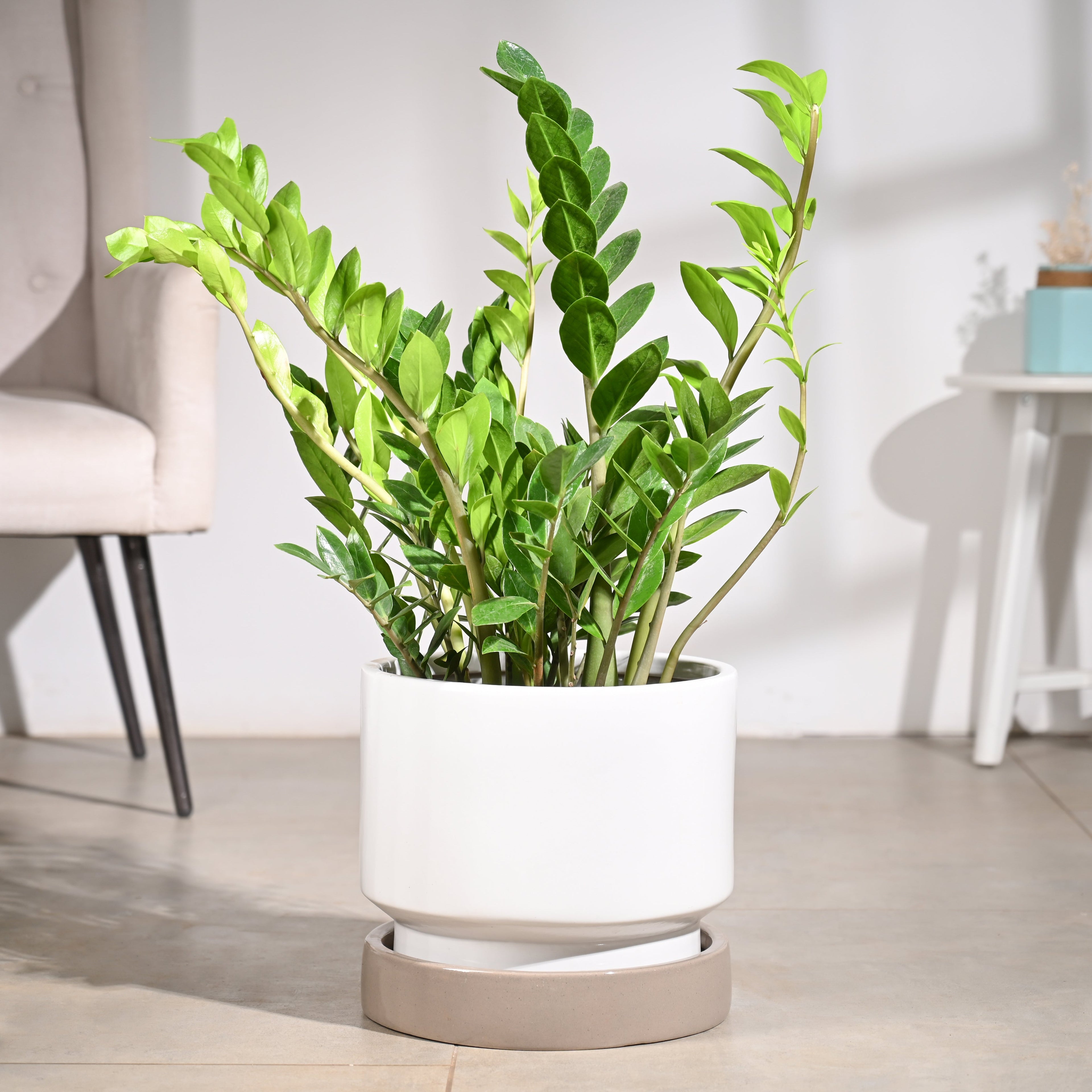 Soothing Rains Ceramic Planters