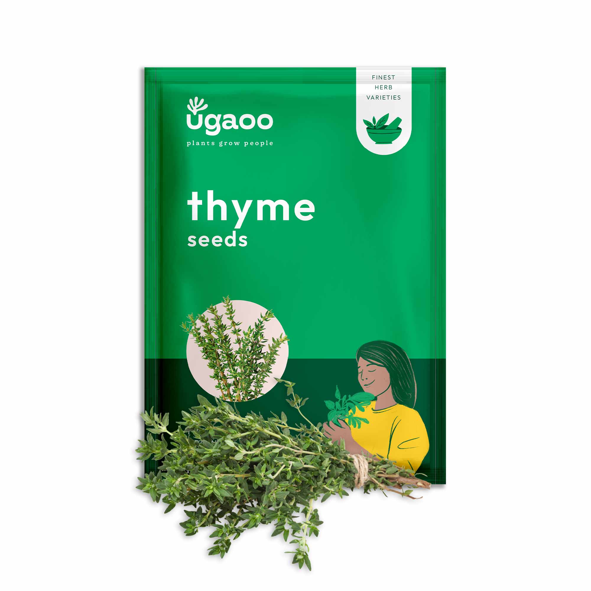 Thyme Seeds