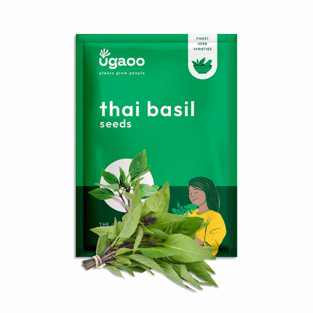 Thai Basil (1000 Seeds)