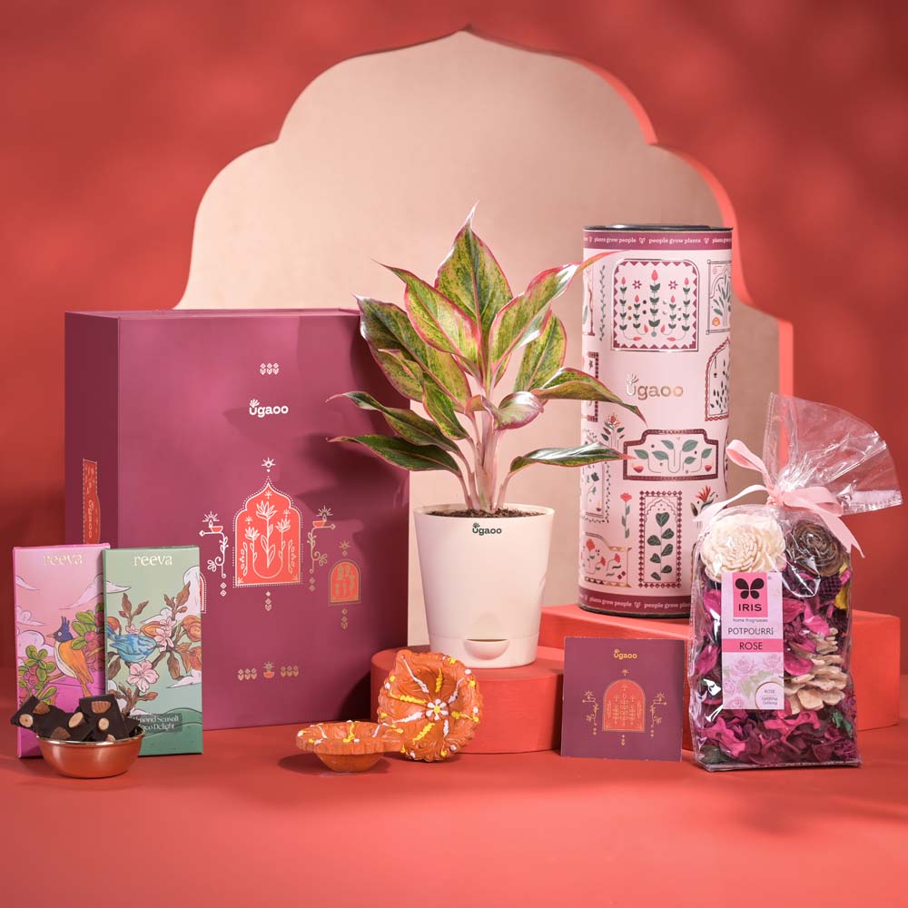 Abundance Diwali Gift Hamper