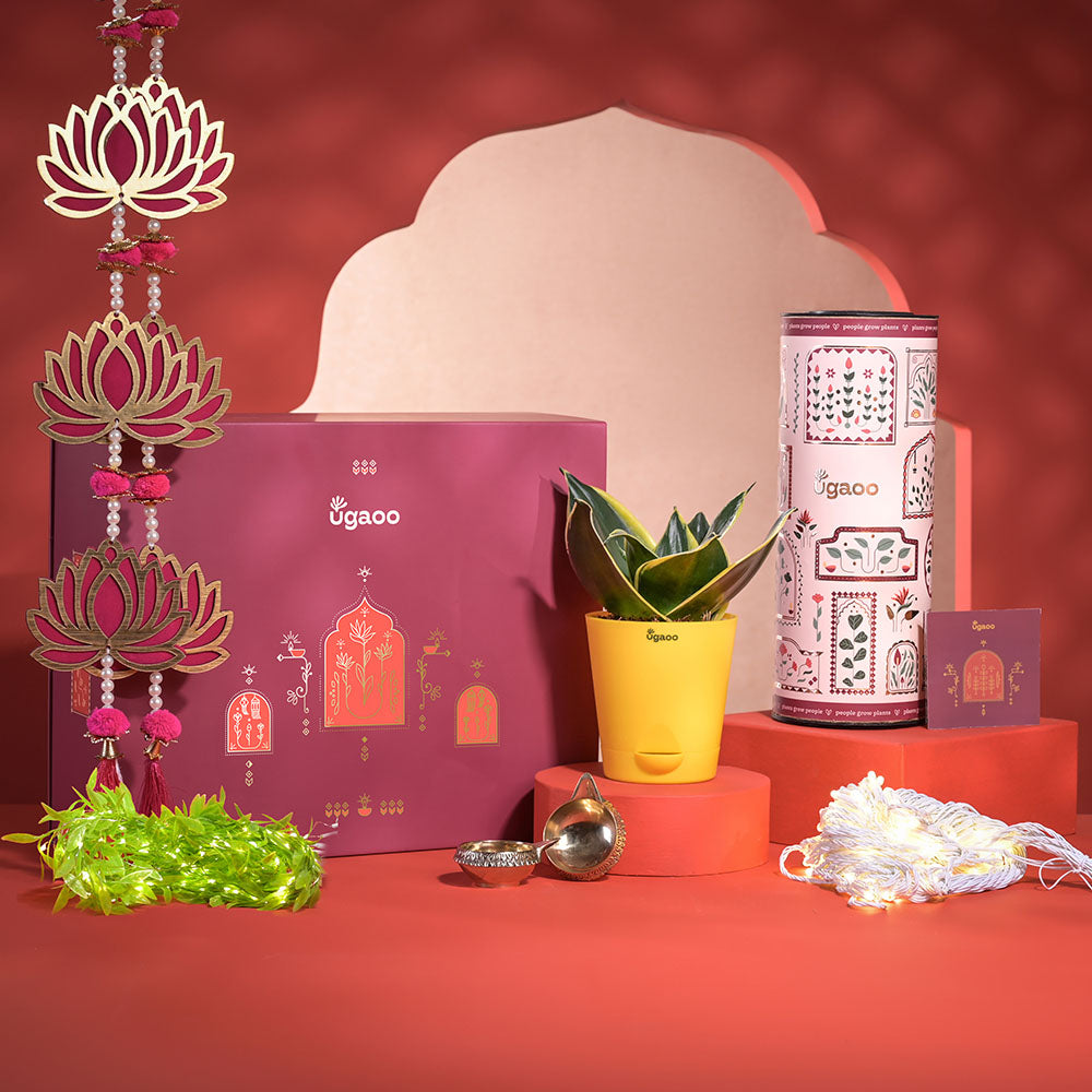 Breath of Air Diwali Gift Hamper