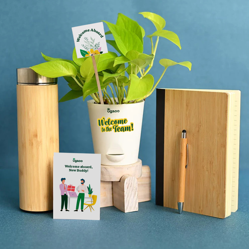 The Eco - Friendly Welcome Desk