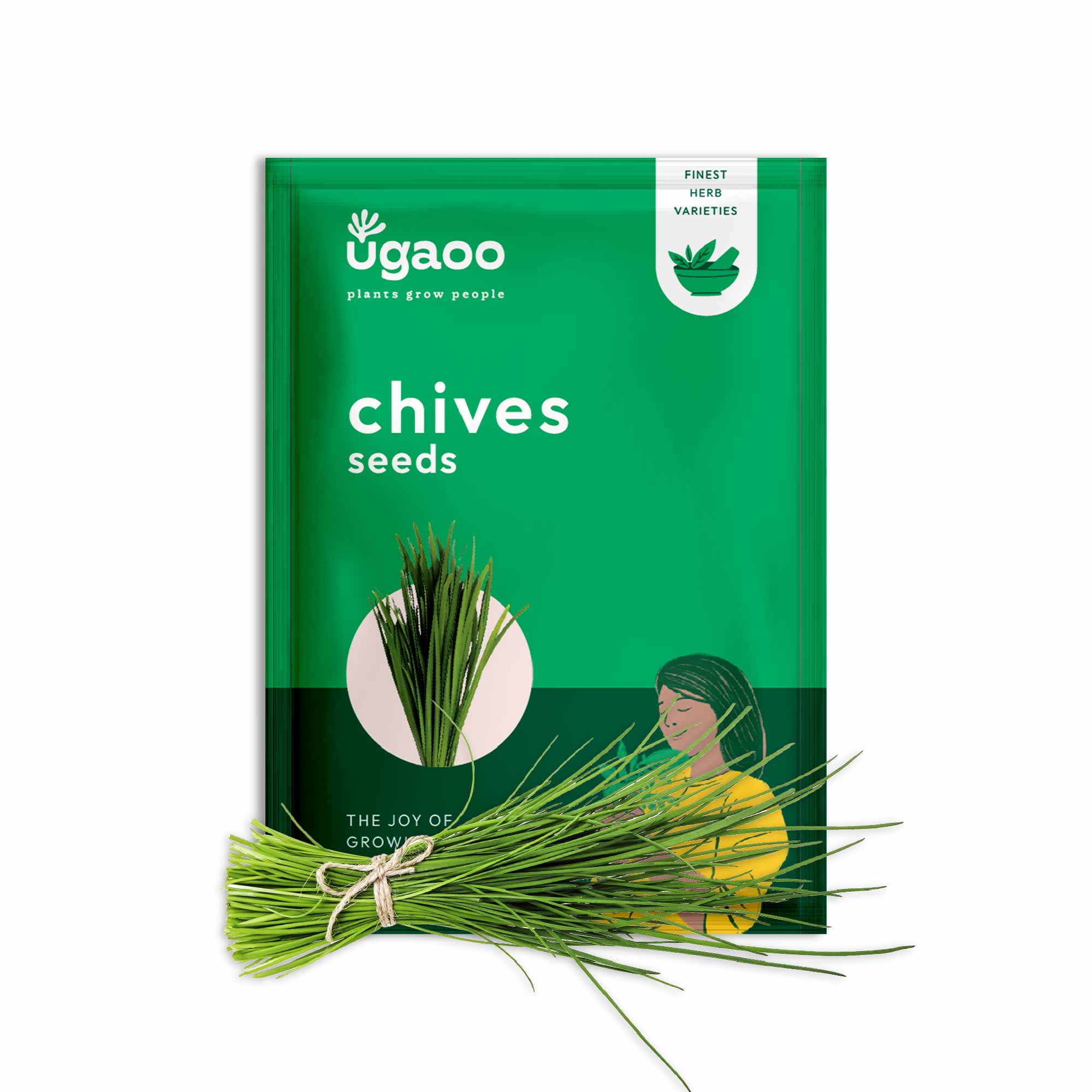 Chives Seeds