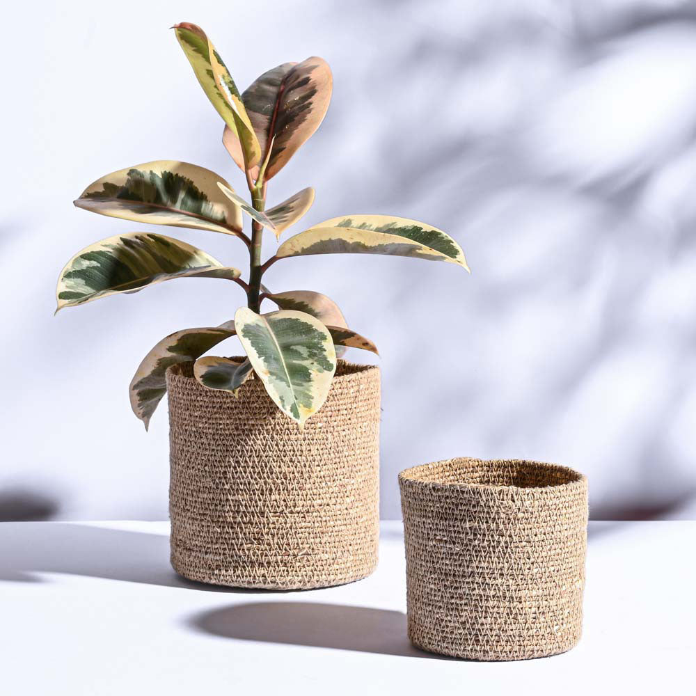 Meadow Planter - Set of 2