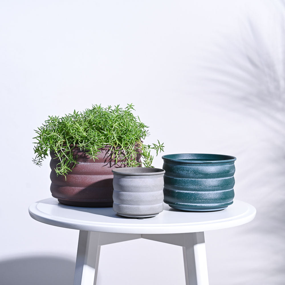 RidgeCraft Cylindrical Planter