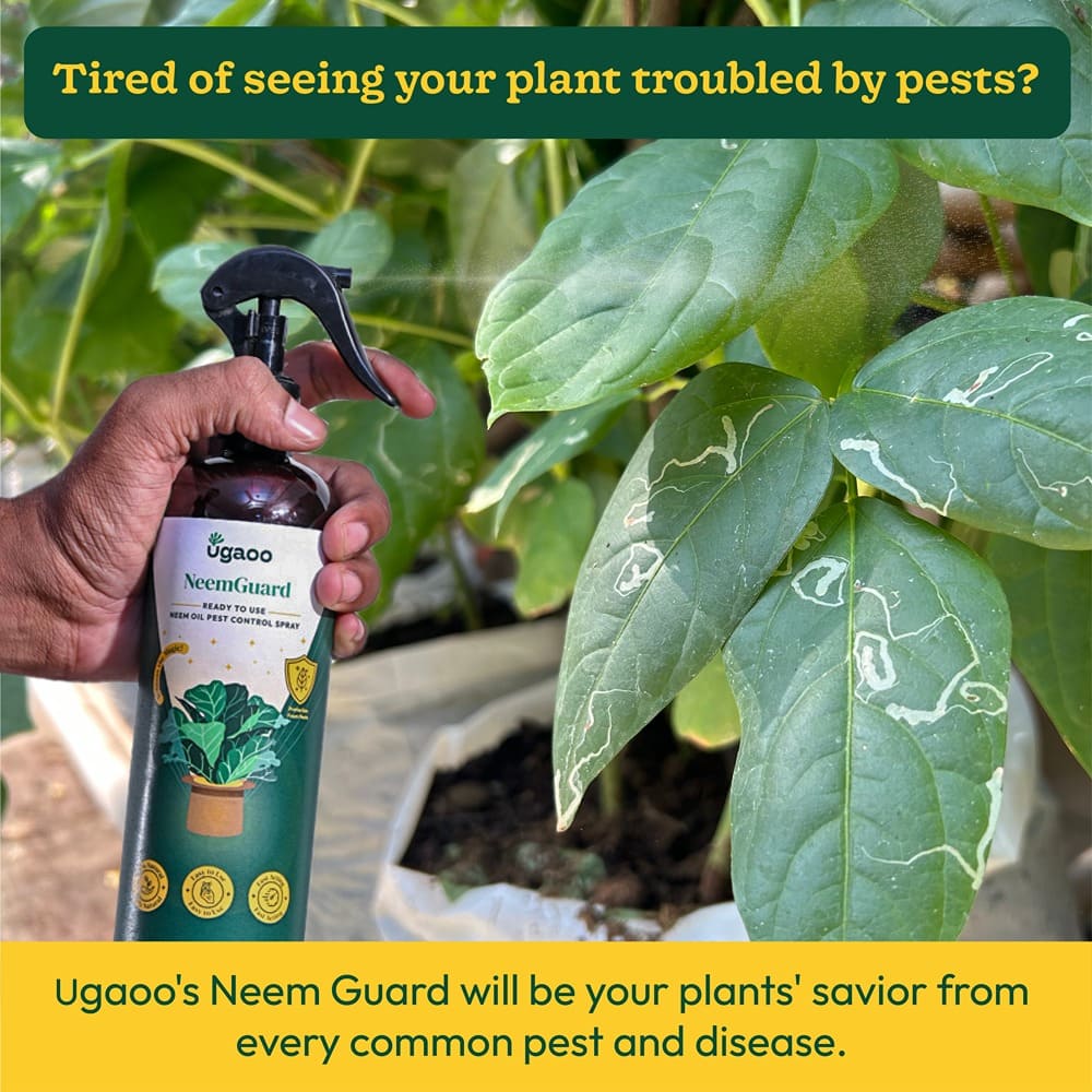 Neem Guard Ready-to-Use Neem Oil Spray - 500 ml