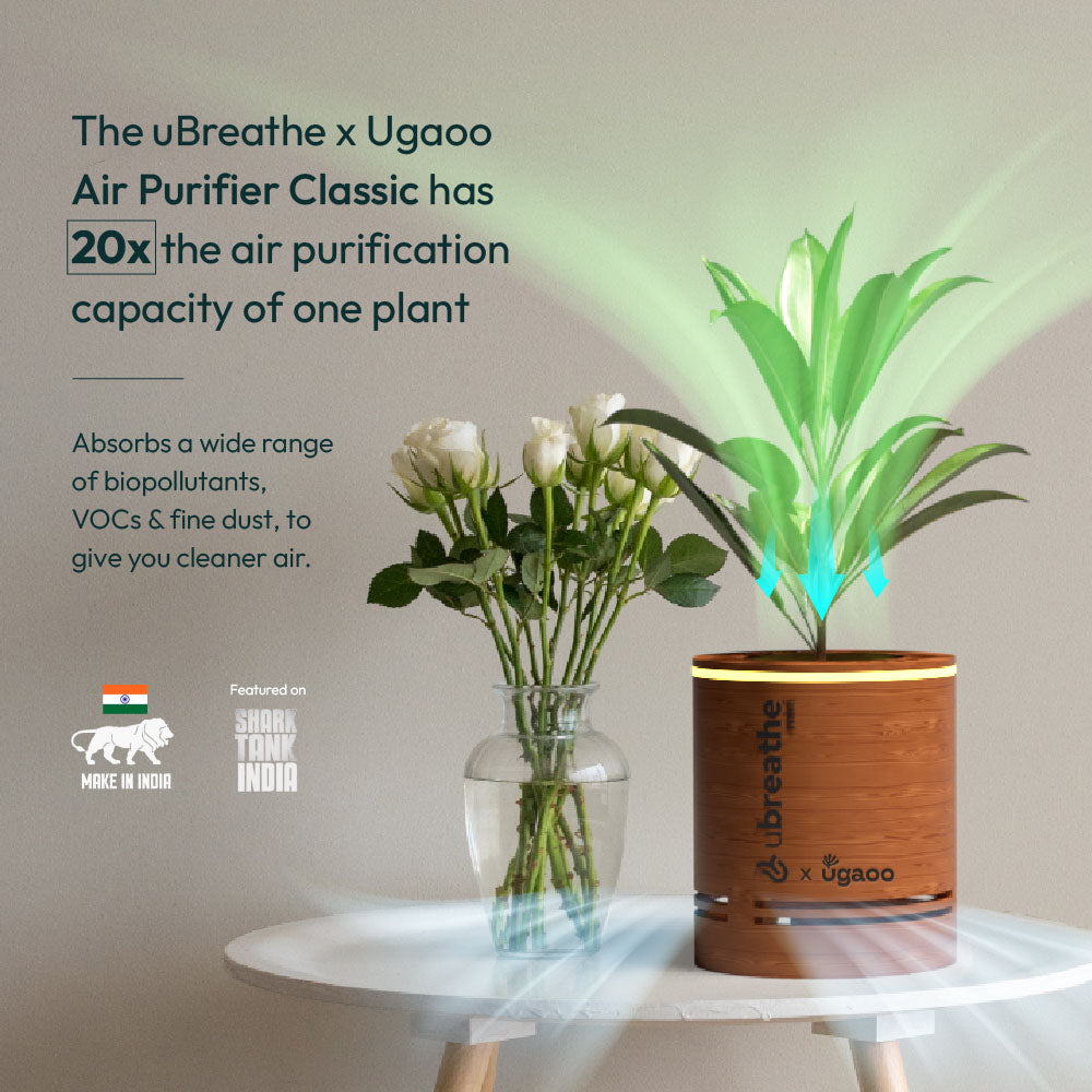 Plant based air purifier