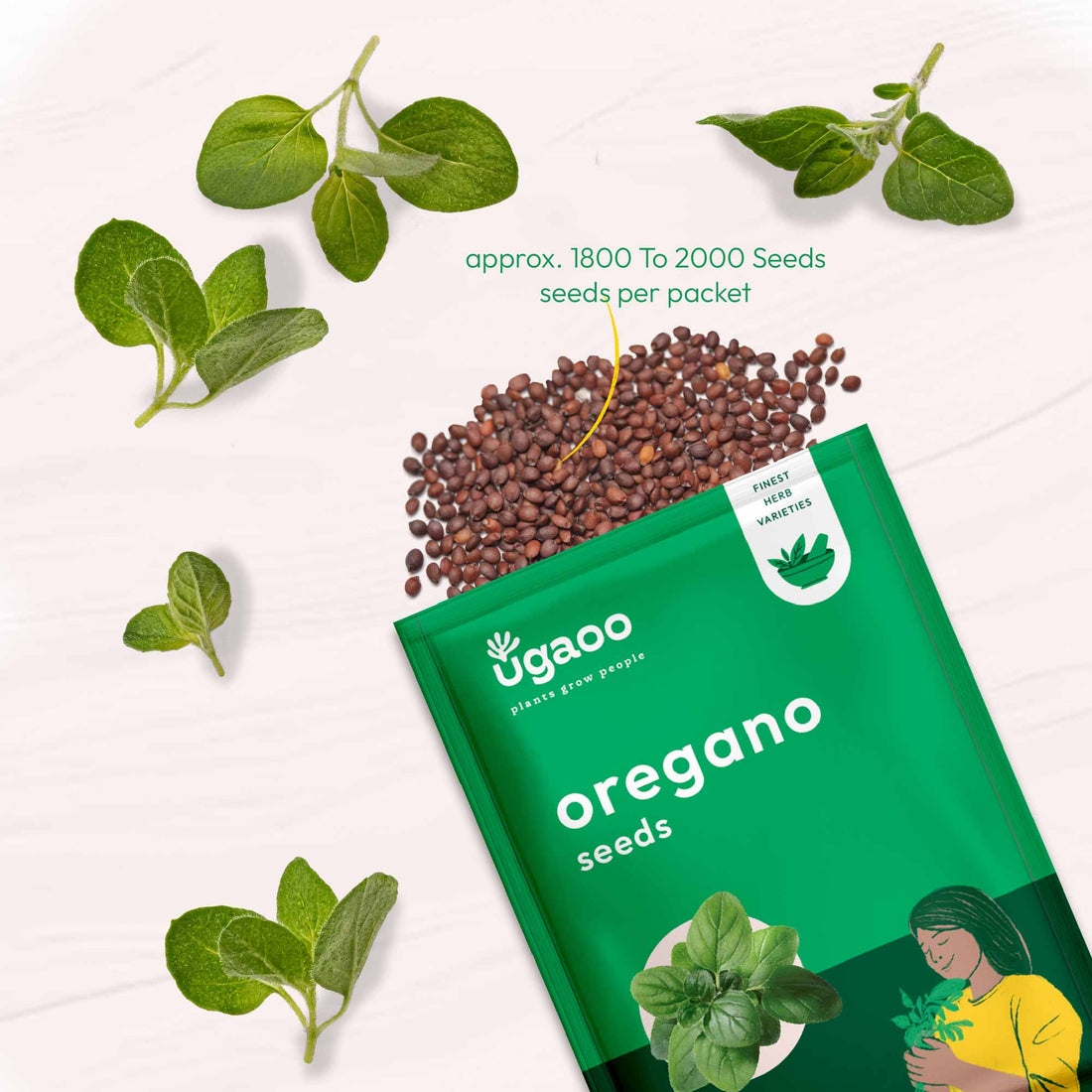 Oregano Seeds