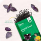 Purple Basil Seeds