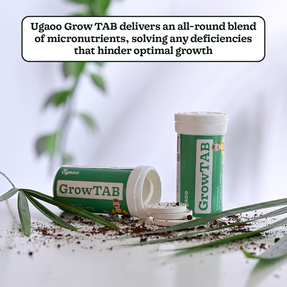 Grow TAB