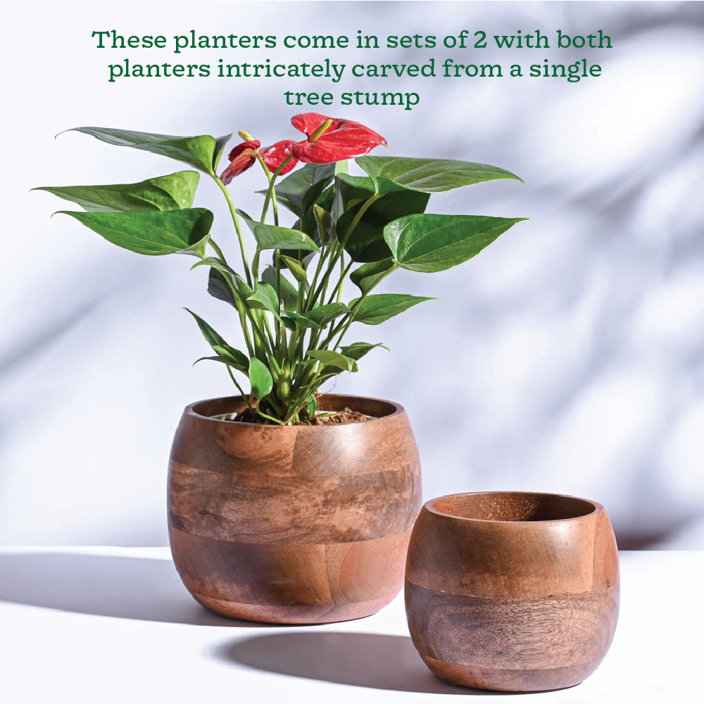 Orbit Wooden Planter - Set of 2