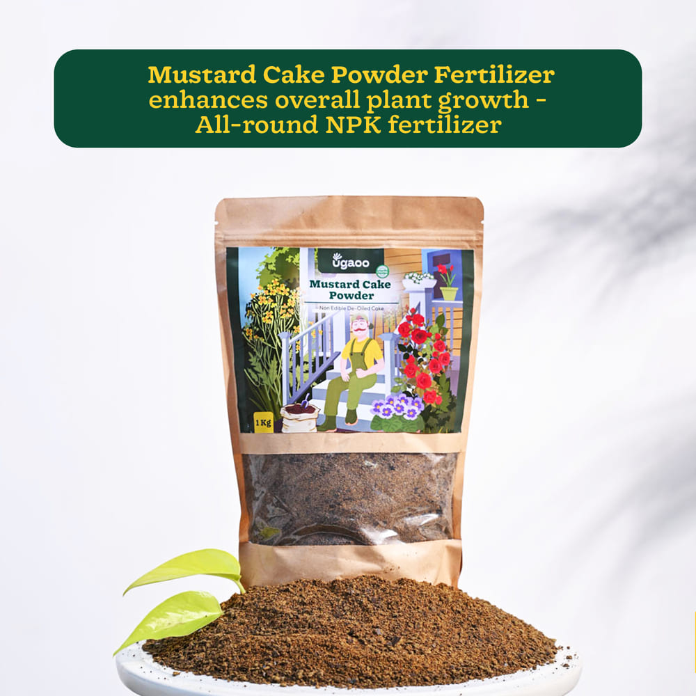 Green Dews Oil Cake Powder Fertilizer For Plants Integrated Neem Musta