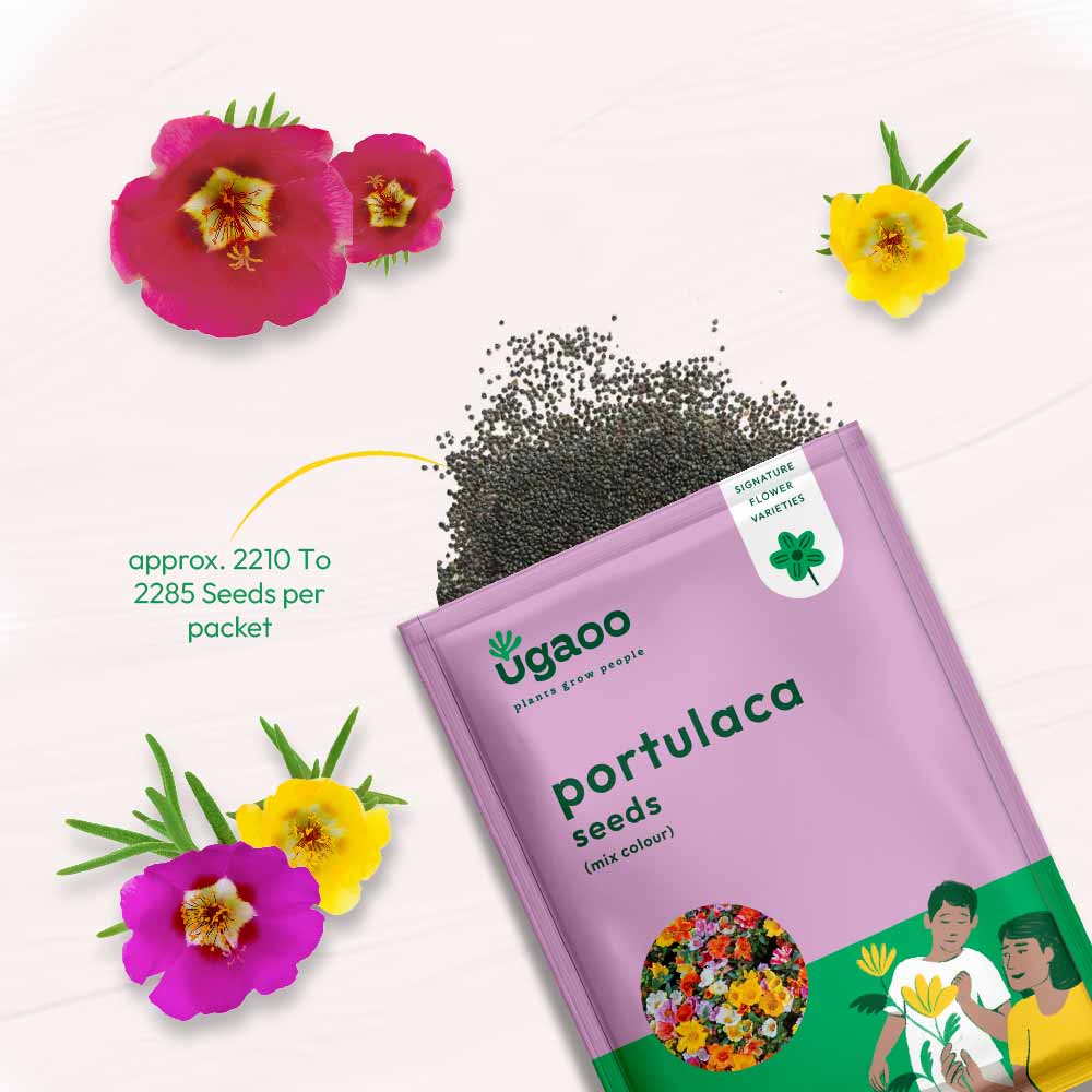 Portulaca Mix Seeds