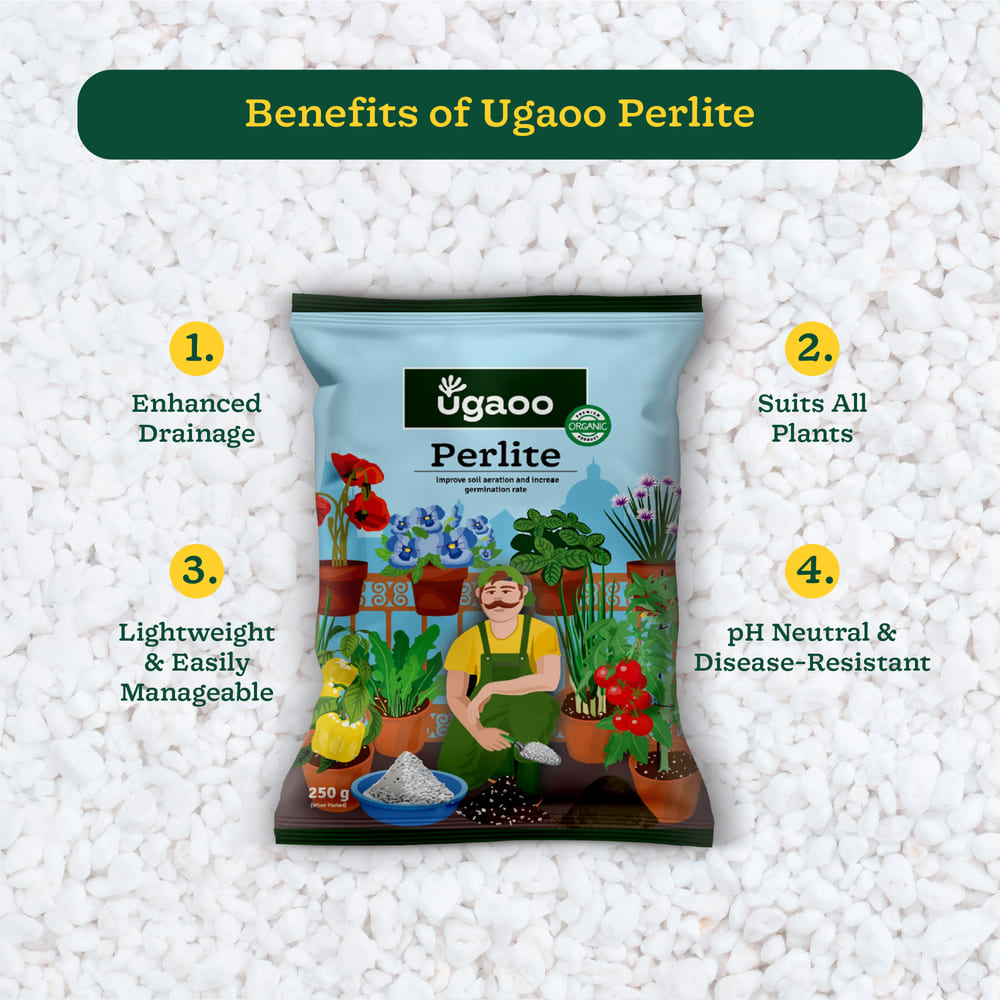 Perlite - 250gm