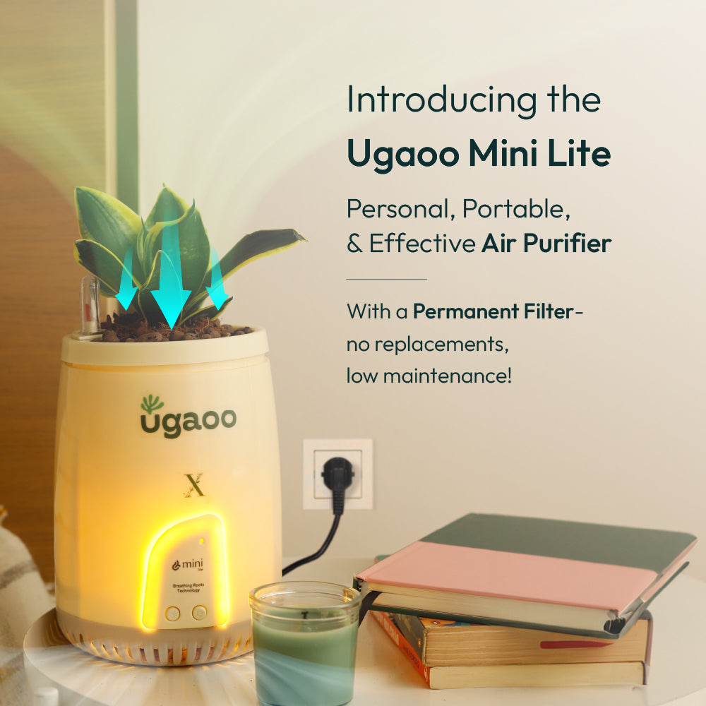 Personal, Portable &amp; effective air purifier.