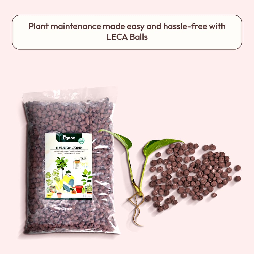 Hydrostone LECA Balls - 6 Litre