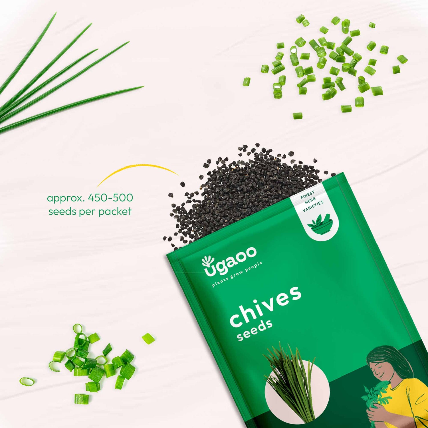 Chives Seeds