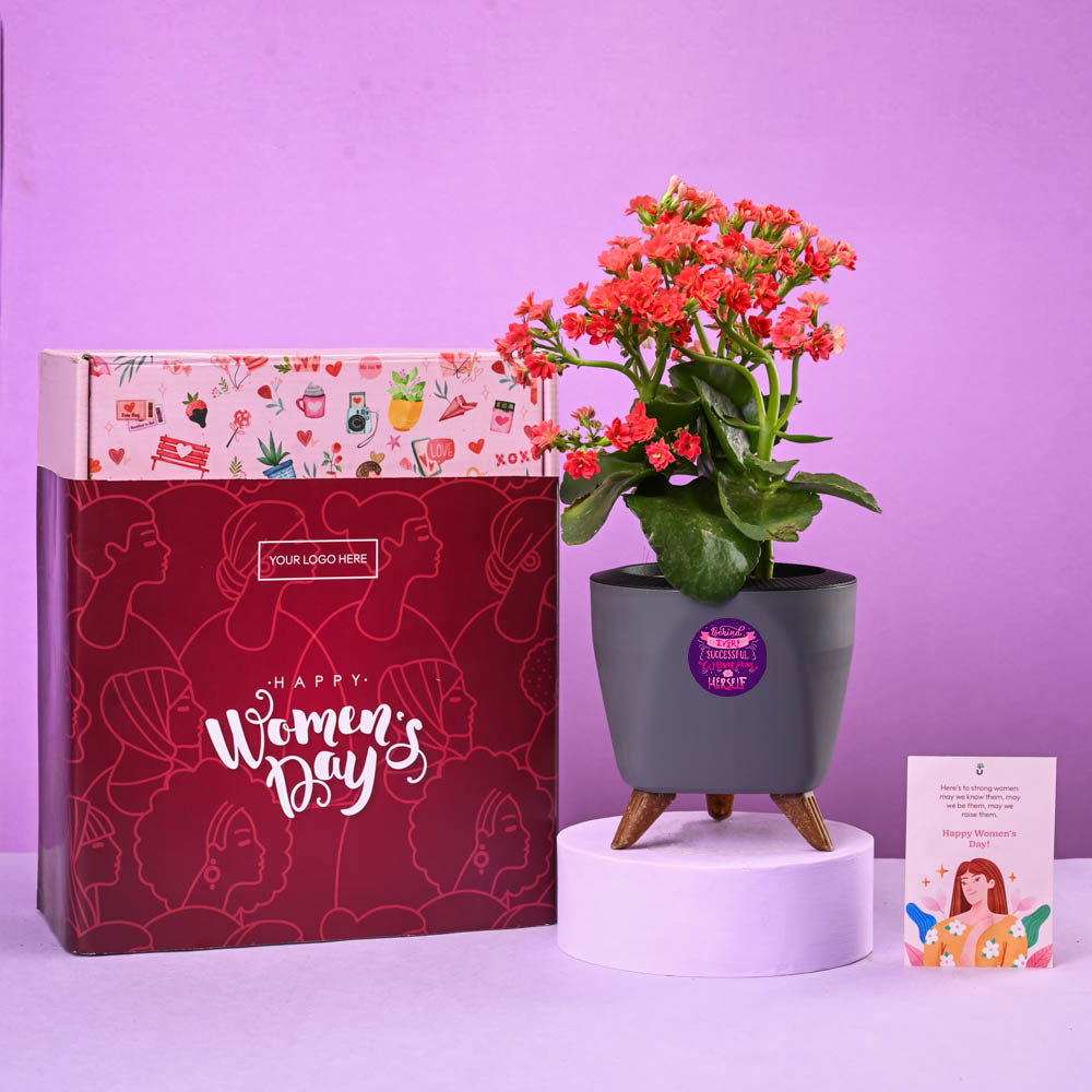 Kalanchoe Mix Joy Women&