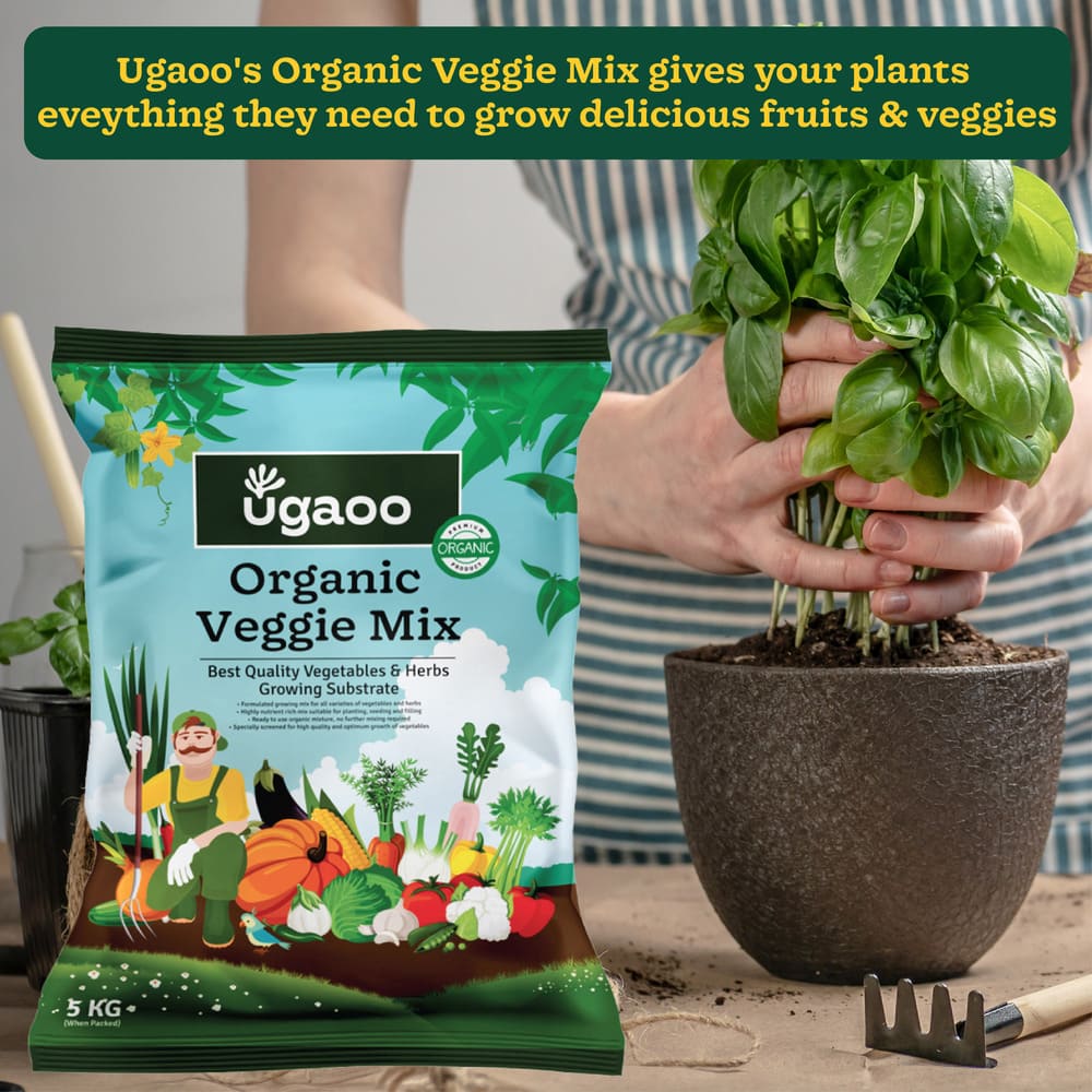 Organic Veggie Mix - 5 Kg