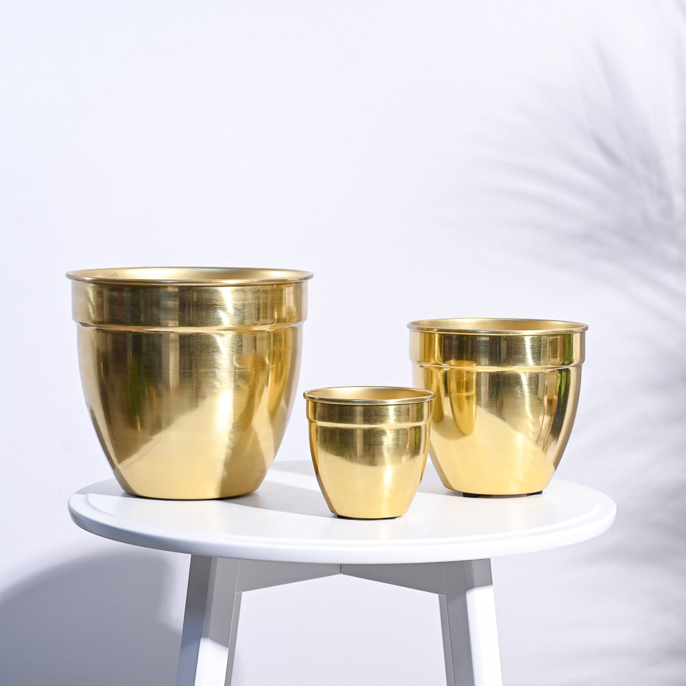 Golden Opulence Planter