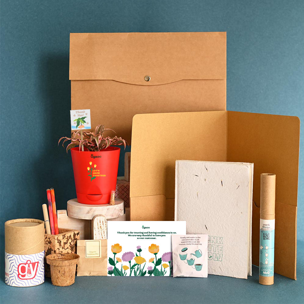 Earth Star Plant and Eco Goodies Bag