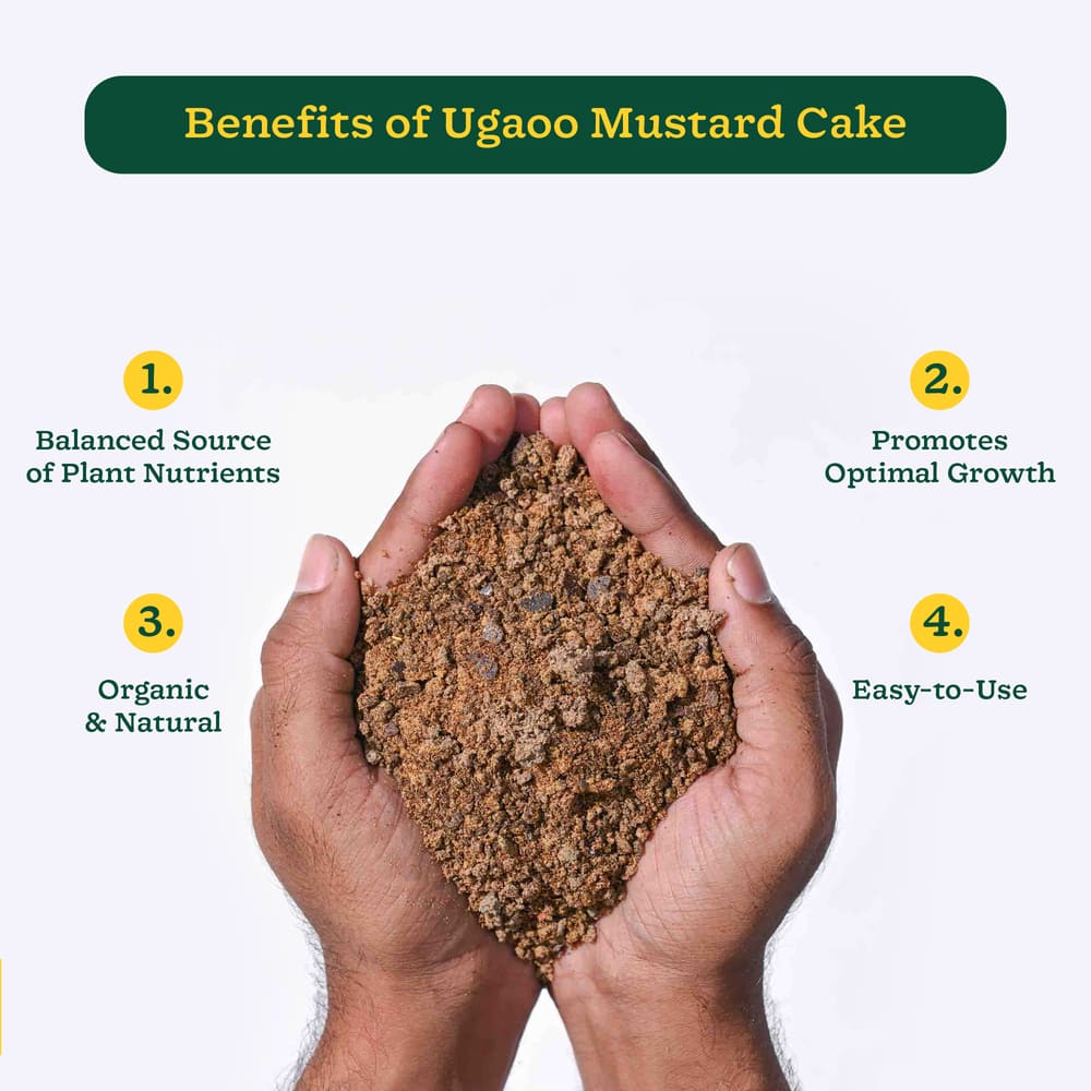 PACK OF 500 GM ) Mustard Organic For Plants, Plant Growth Booster, Sarso  Khali Organic Manure For Plant, Mustard Cake Powder For Plants - 500 GM