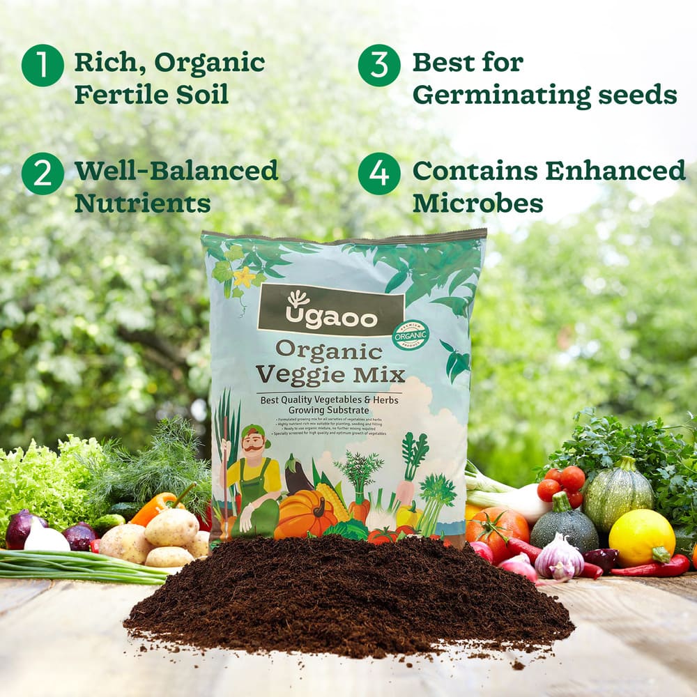 Organic Veggie Mix - 5 Kg