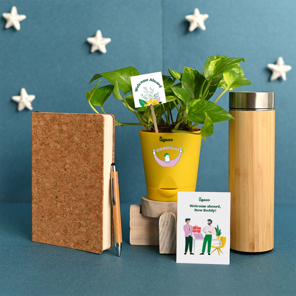 Employee Kit of Plant with Cork Notebook, Pen &amp; Bamboo Vacuum Flask