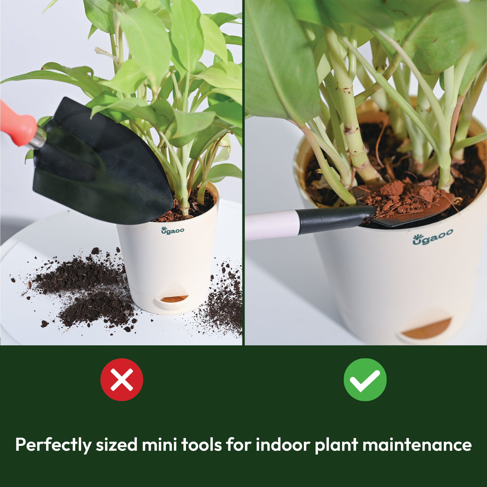 Indoor Gardening Kit