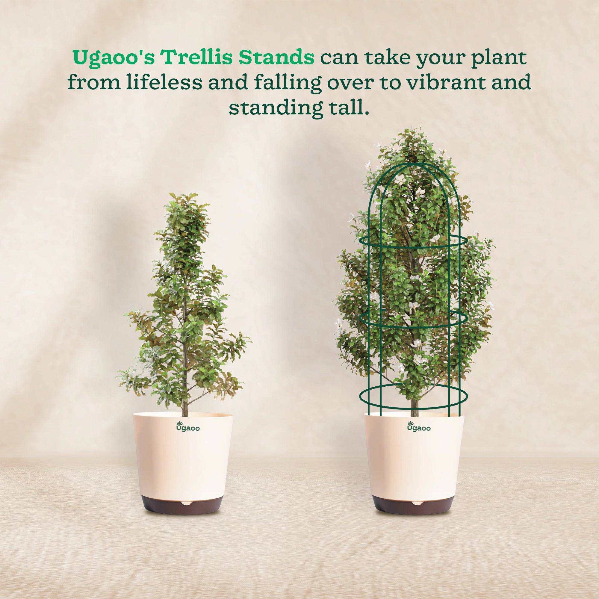 Trellis Plant Support Stands - Set of 3