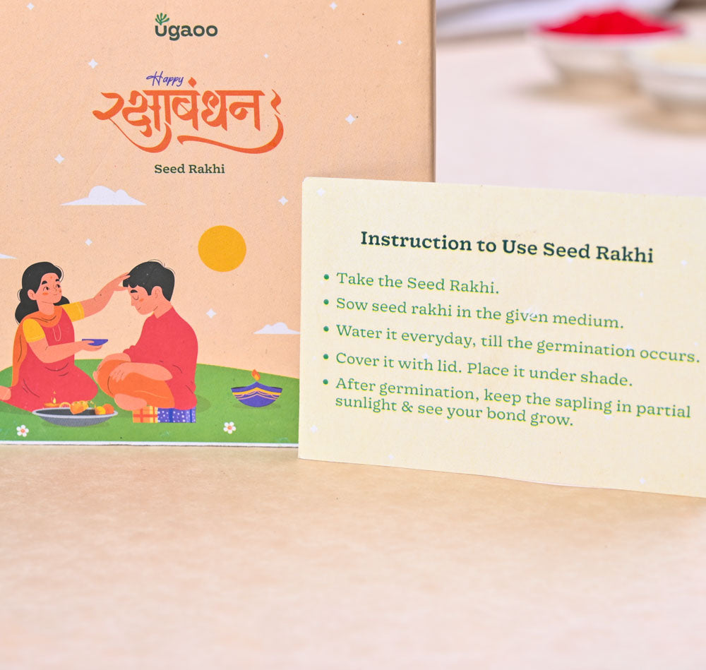 Plantable Seed Rakhi with Amaltash And Brinjal Seed