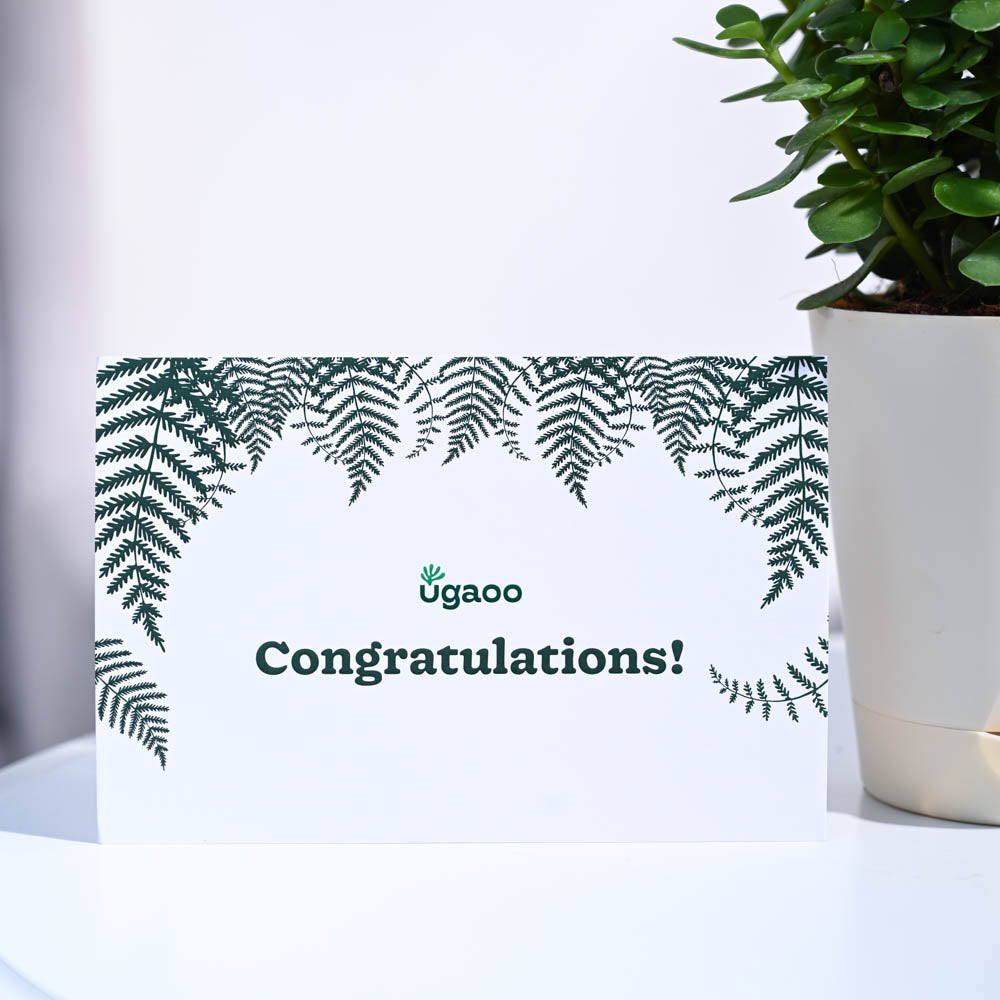 Jade Mini Congratulations Gift hamper