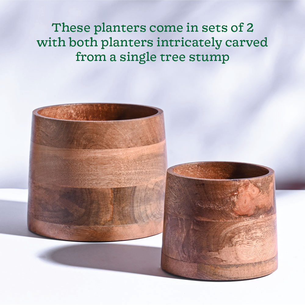 Gradient Wooden Planter - Set of 2