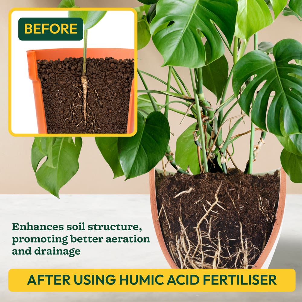 Humic Acid Powder Fertilizer