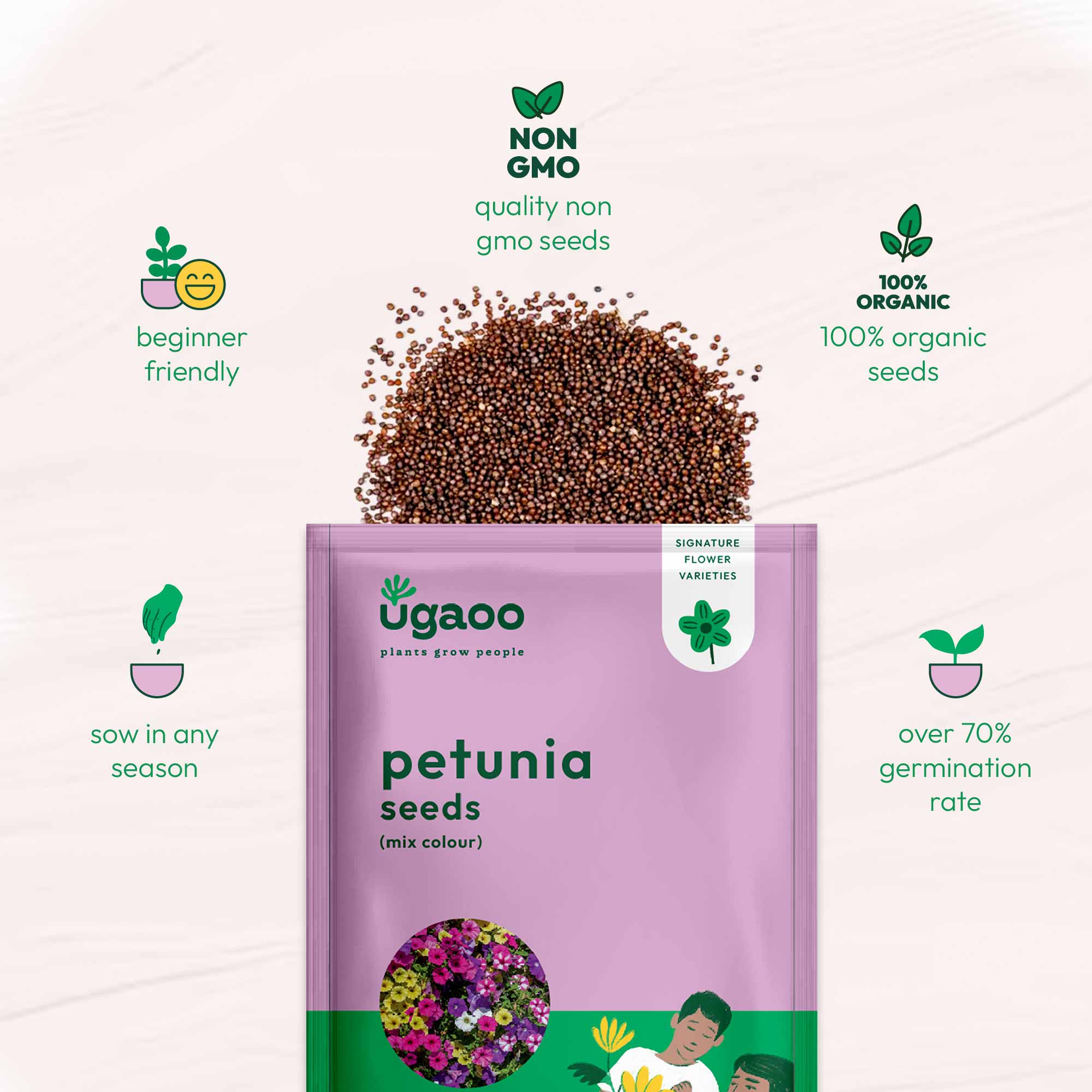 Petunia Mix Seeds