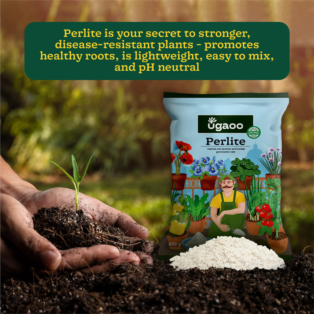 Perlite - 250gm