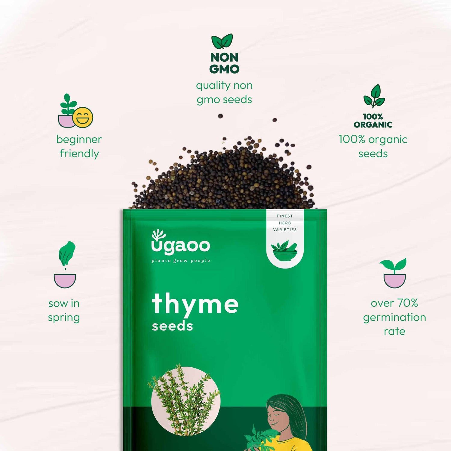 Thyme Seeds