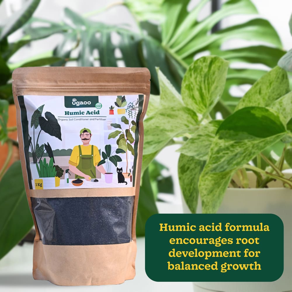 Humic Acid Powder Fertilizer