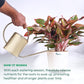 Plant Food Fertilizer Stick - Green & Bloom