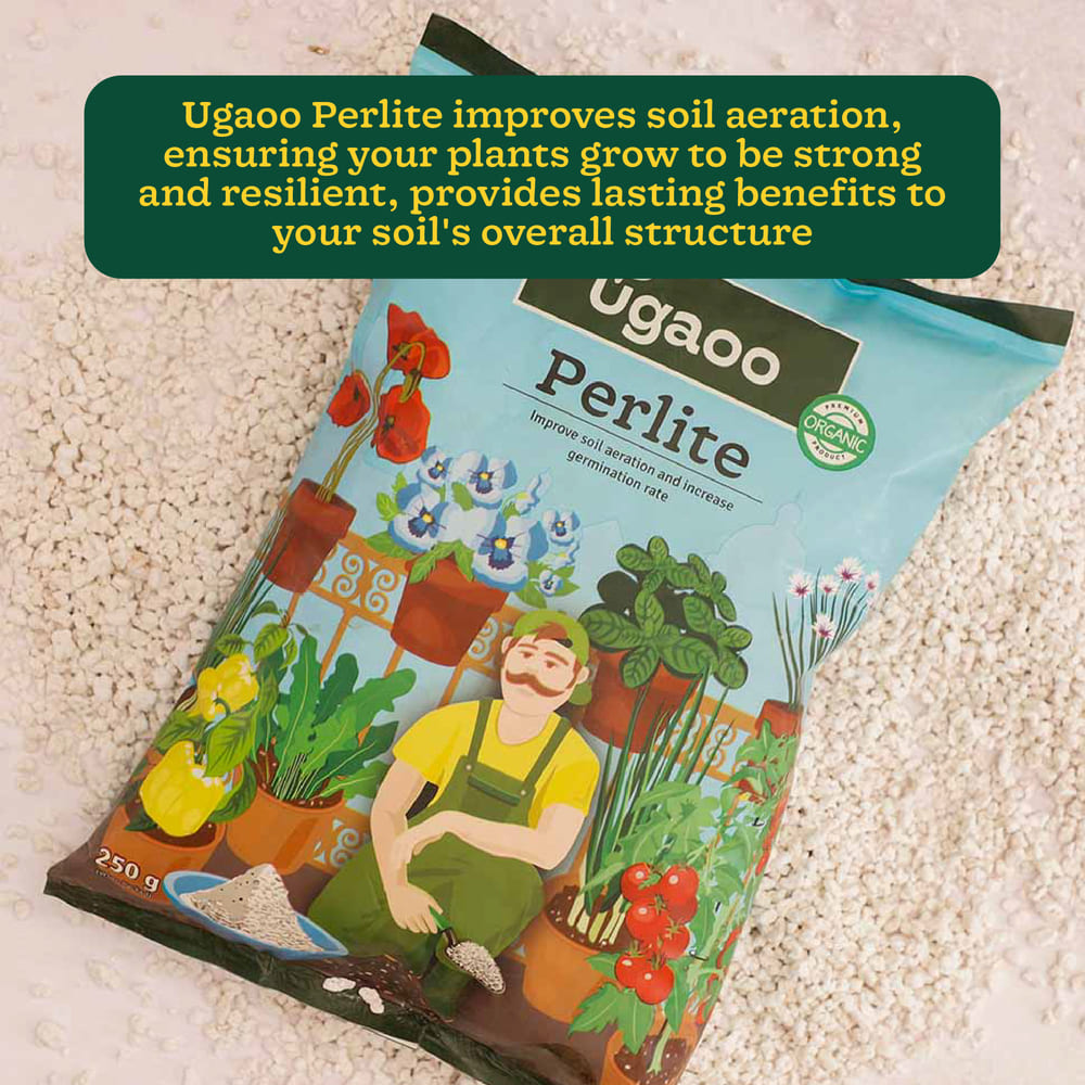 Perlite - 250gm