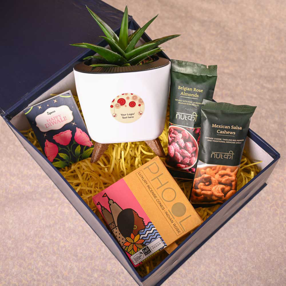 Aloe Vera Mini Plant &amp; Phool Diwali Gift Hamper