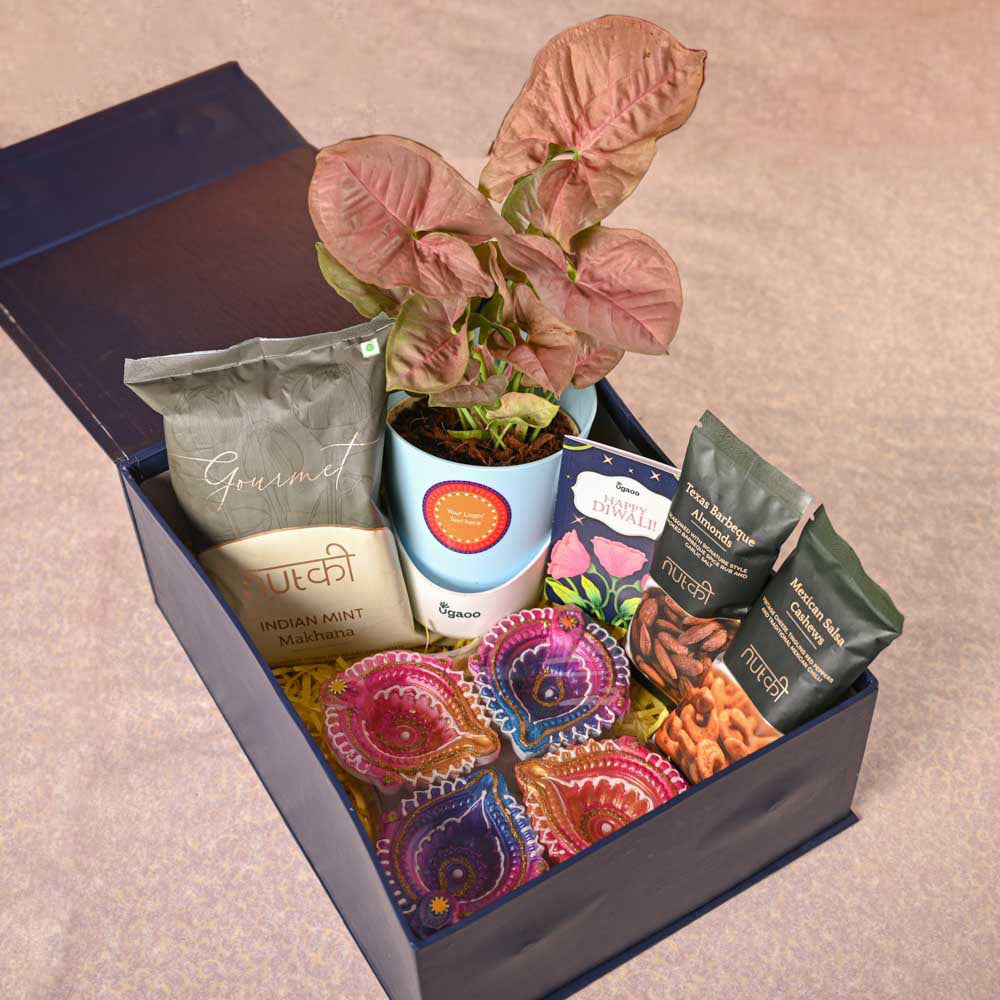 Syngonium Pink Plant and Nutki Diwali Gift Hamper