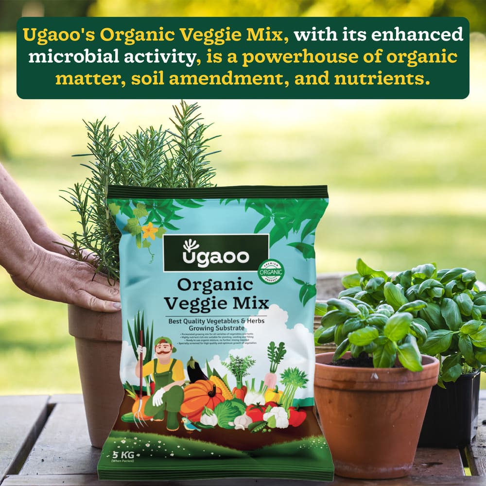 Organic Veggie Mix - 5 Kg