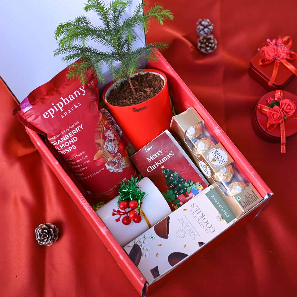 Christmas tree Gift Hamper