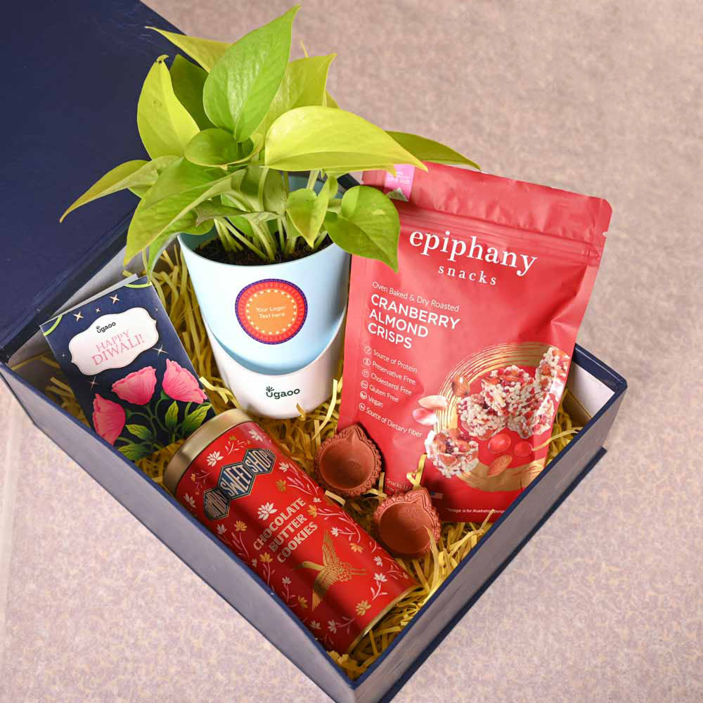 Money Plant Golden &amp; Bombay Sweet Shop Diwali Gift Hamper