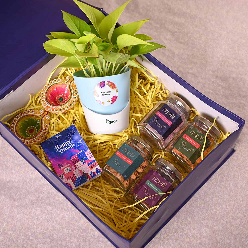 Money Plant Golden &amp; Nutki Diwali Gift Hamper