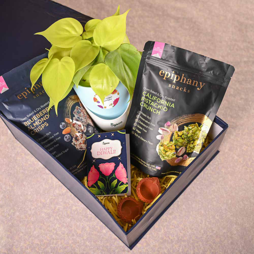 Philodendron Oxycardium Golden Plant &amp; Epiphany Snacks Diwali Gift Hamper