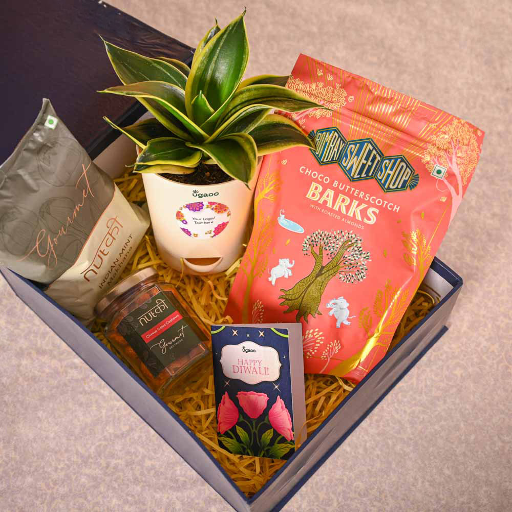 Snake Plant &amp; Bombay Sweet Shop Diwali Gift Hamper