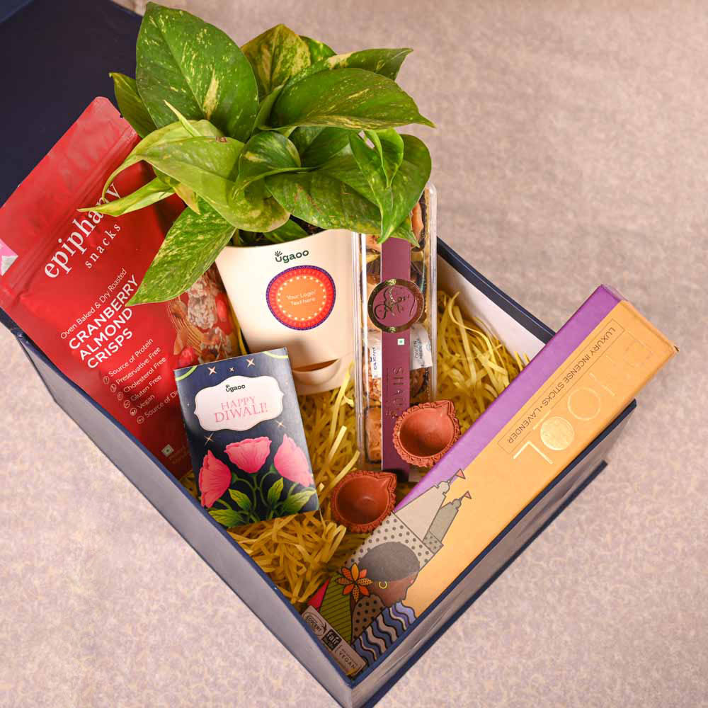 Money Plant Variegated &amp; Phool Diwali Gift Hamper